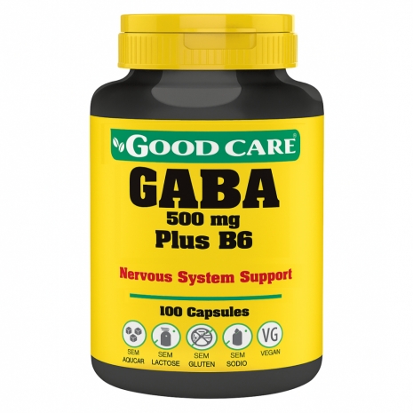 GABA 500mg Plus B6 100caps