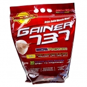 Gainer 737 3000g