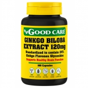 Ginkgo Biloba Extract 120mg 100caps